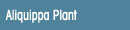 Aliquippa PA Plant